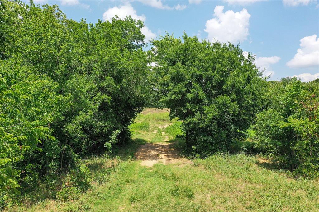 Jacksboro - Land