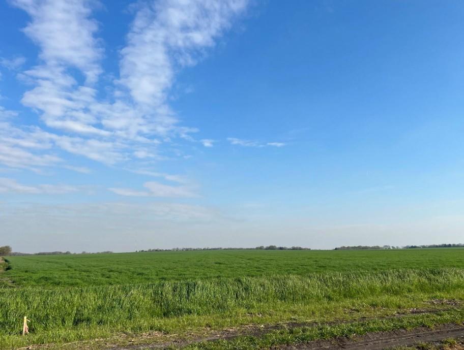 INVESTOR ALERT — 33.414± ACRES IN THE PATH OF GROWTH IN ELLIS COUNTY, TEXAS

Rare opportunity to acquire a 33.414± acre development-ready tract along Mustang Road, just southeast of Waxahachie in fast-growing Ellis County  one of the most aggressively expanding submarkets in the Dallas–Fort Worth Metroplex. Property ID 270150  Legal: 190 G CARPENTER 33.414 ACRES.

THE LAND
Gently rolling, rectangular tract of mostly open, usable grassland with approximately 389.99 feet of county road frontage running northwesterly. Average drainage, average shape, and a clean, buildable topography make this parcel ideal for a wide range of uses — residential development, ranchette subdivision, equestrian estate, build-to-suit homestead, agricultural hold, or long-term land bank. Dirt drive in place. No restrictive landscape features to work around — bring your vision and your bulldozer.

WHY THIS LOCATION WINS

Minutes from historic Downtown Waxahachie, the Ellis County seat — schools, hospitals, retail, and Baylor Scott & White all within easy reach.
Quick connectivity to I-35E and US-287, putting Downtown Dallas, AT&T Stadium, and DFW International Airport inside a comfortable commute.
Sits in the direct southern growth path of the DFW Metroplex, where rooftops, industrial parks, and master-planned communities are pushing south every quarter.

Ellis County has consistently ranked among the fastest-growing counties in Texas, with Waxahachie's population and assessed values trending sharply upward.

THE INVESTMENT OPPORTUNITY

Land-banking play: hold and ride the Waxahachie appreciation wave as DFW sprawl reaches Mustang Rd.
Subdivide and sell: 33+ acres with road frontage = multiple 3–10 acre tracts in a market where demand for rural-feel acreage near the Metroplex consistently outpaces supply.

Develop now: open grassland, gently rolling topography, and minimal site prep mean lower carrying costs and faster time to vertical.