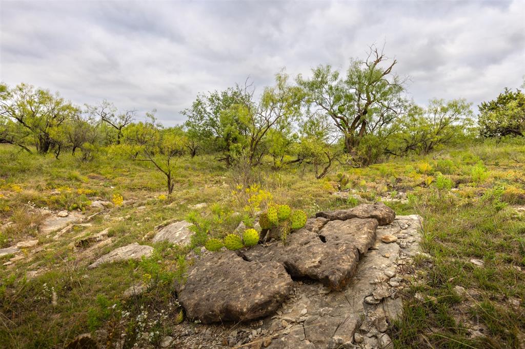 Comal - Farm