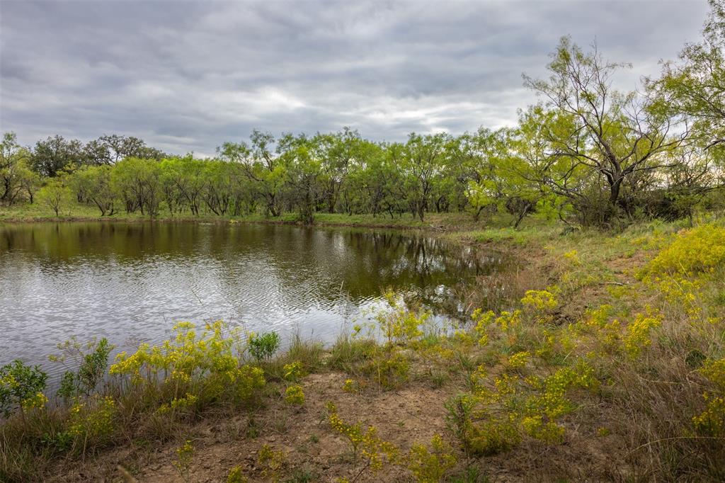 Comal - Farm