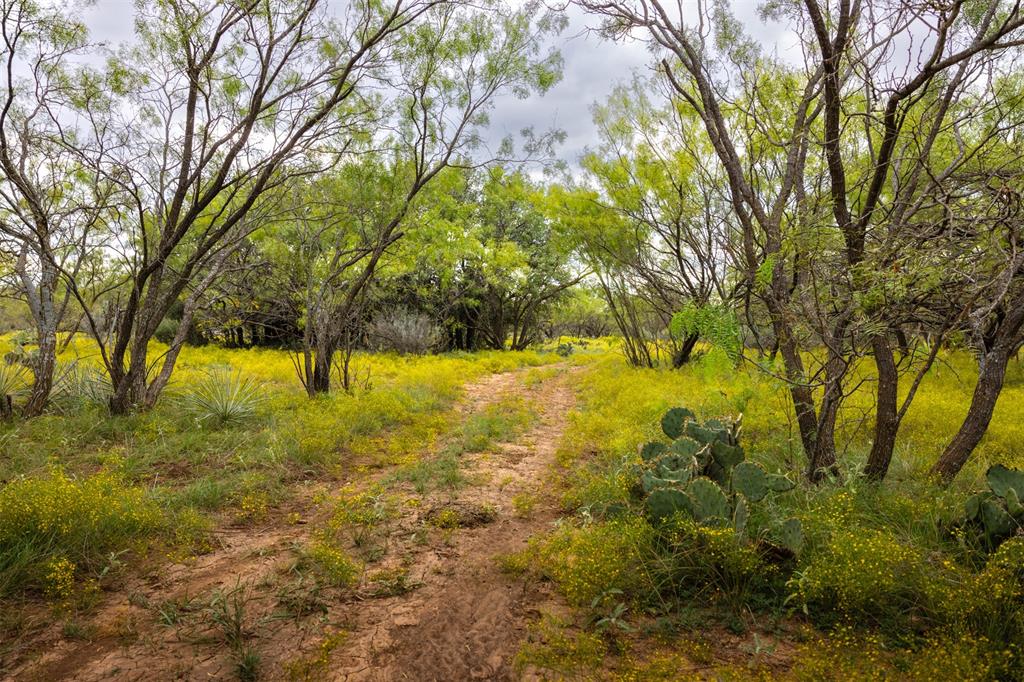 Comal - Farm