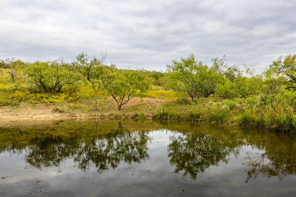Comal - Farm