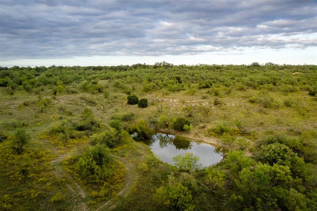 Comal - Farm