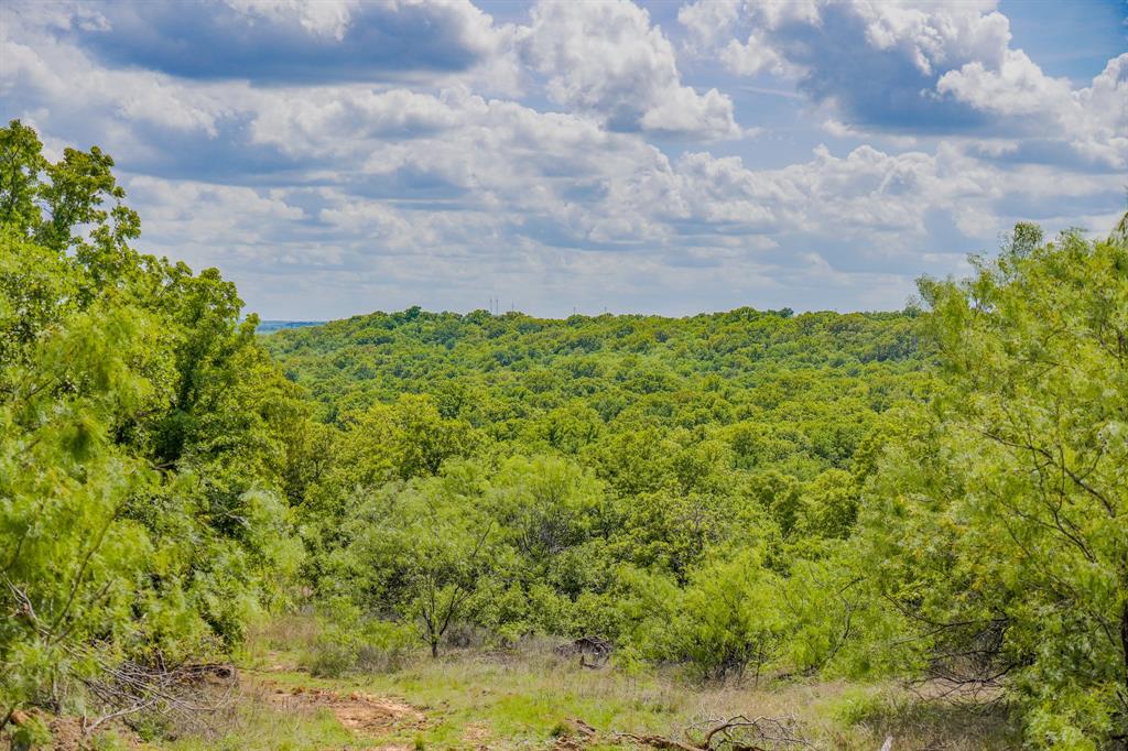 Jacksboro - Land