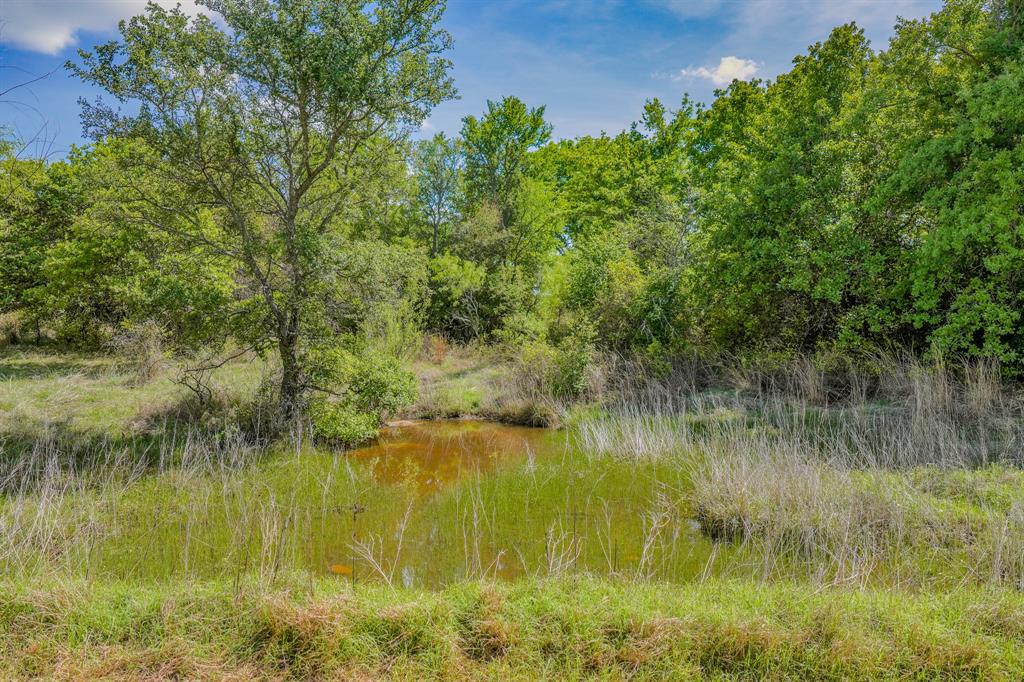 Jacksboro - Land