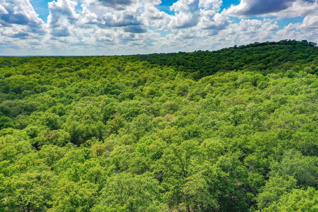 Jacksboro - Land