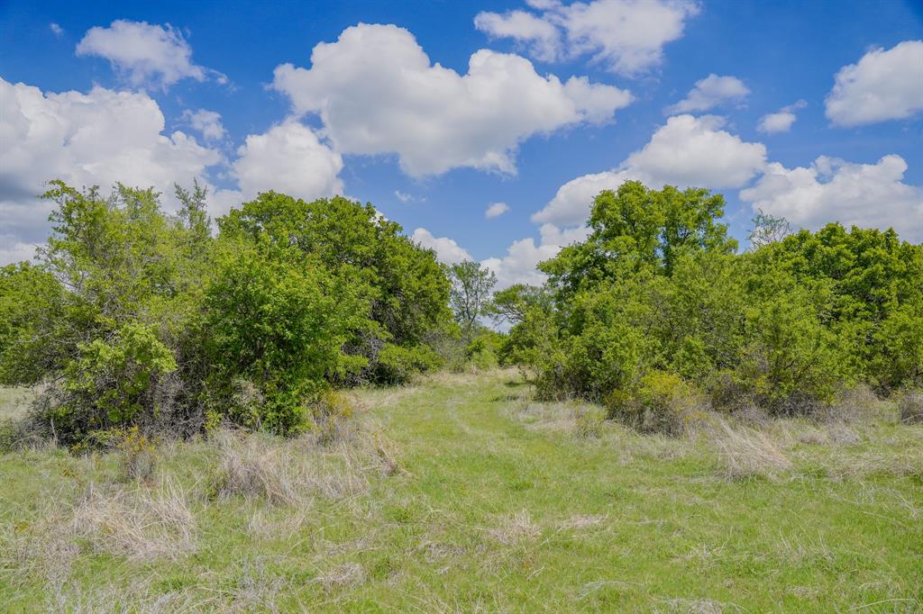 Jacksboro - Land