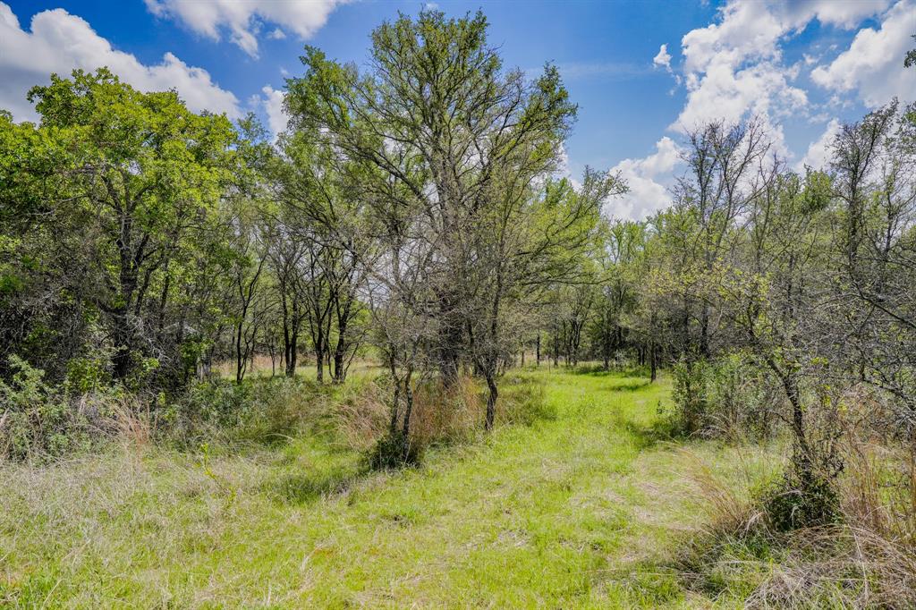 Jacksboro - Land