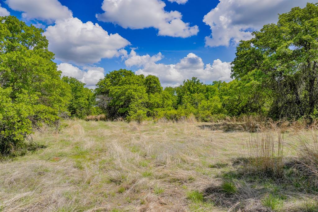 Jacksboro - Land
