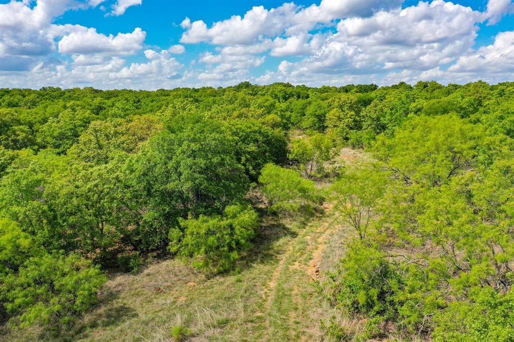 Jacksboro - Land
