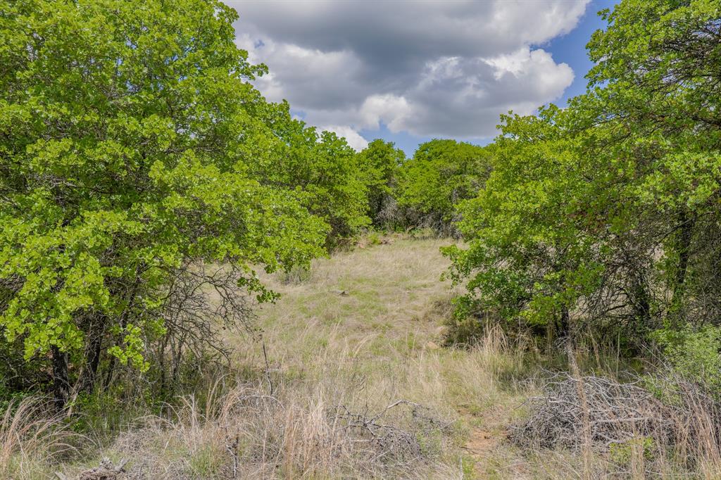 Jacksboro - Land