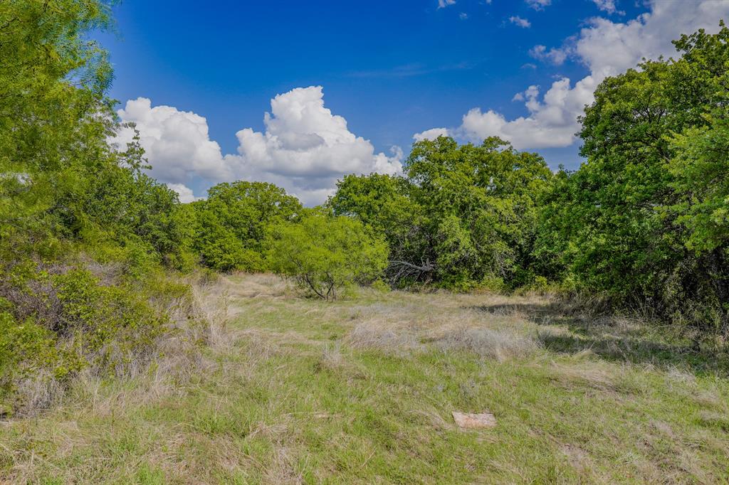 Jacksboro - Land