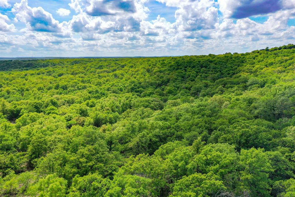 Jacksboro - Land