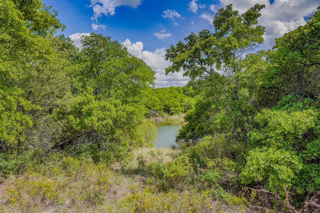 Jacksboro - Land