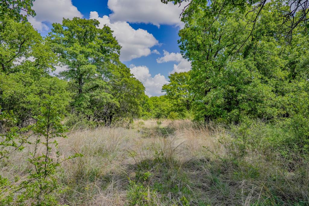 Jacksboro - Land