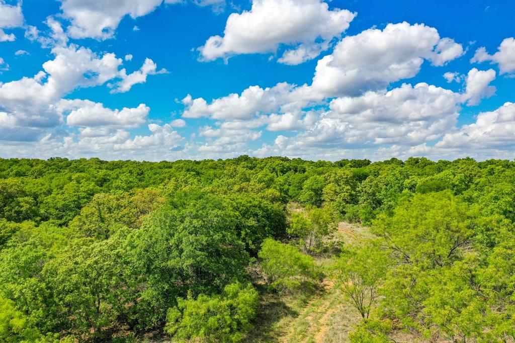 Jacksboro - Land