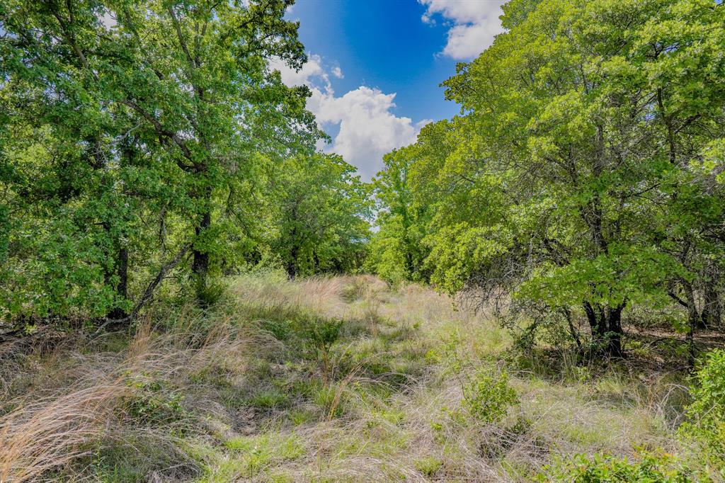 Jacksboro - Land