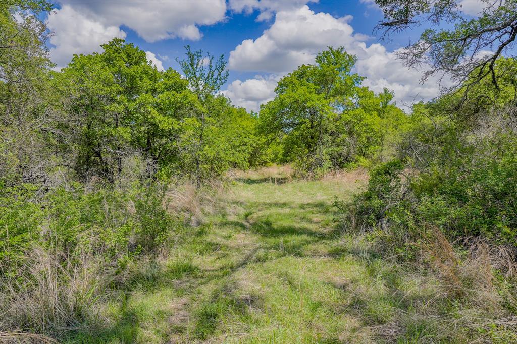 Jacksboro - Land