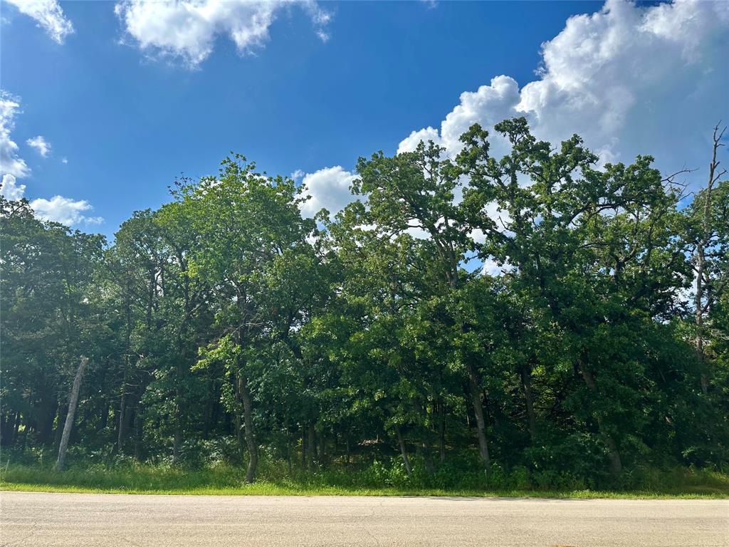 Beautiful lot in Rock Creek Resort on Lake Texoma – Golf Membership Included! Build your dream home in the exclusive Rock Creek Resort, a gated, master-planned community on the shores of Lake Texoma. 

This .27-acre golf course lot, looking out over hole 10, offers the perfect setting for a full-time residence or weekend retreat. Property ownership includes a membership to the Jack Nicklaus Golf Course, ranked among the best in Texas.

Enjoy access to resort-style amenities including a marina, clubhouse, restaurant, fitness center, swimming pool, hiking trails, and more—all surrounded by natural beauty and just 90 minutes north of Dallas-Fort Worth.

Highlights:
   •   .27-acre lot, level and build-ready
   •   Golf membership included with ownership
   •   Private, gated community with 24-7 security
   •   Access to marina, lake, clubhouse, and resort amenities
   •   No required build timeline
   •   Short drive to dining, shopping, and medical facilities

Don’t miss this opportunity to own in one of North Texas’ premier lake and golf communities!