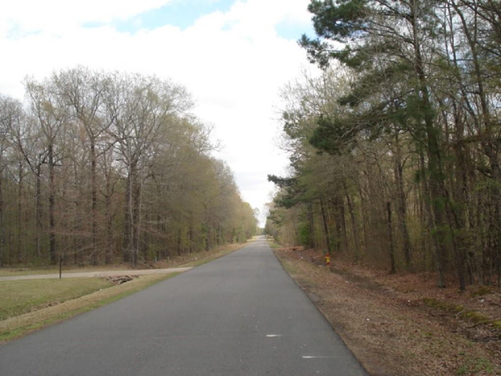 Wonderful Location Considered To Be In Blanchard But With Shreveport Address. 1 acre lot and you will love the privacy. Covenant Restrictions Require Minimum 1850 SF Site Built Homes Only. No Manufactured Or Mobile Homes. Blanchard Water, AEP Swepco Electric & Centerpoint Gas All Available. You Will Need To Install Your Jet Spray System
