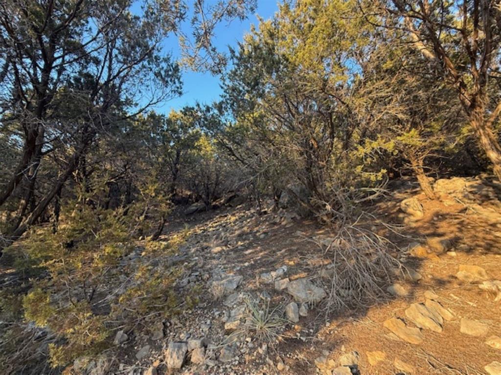 Hills Above Possum Kingdom Lake - Land