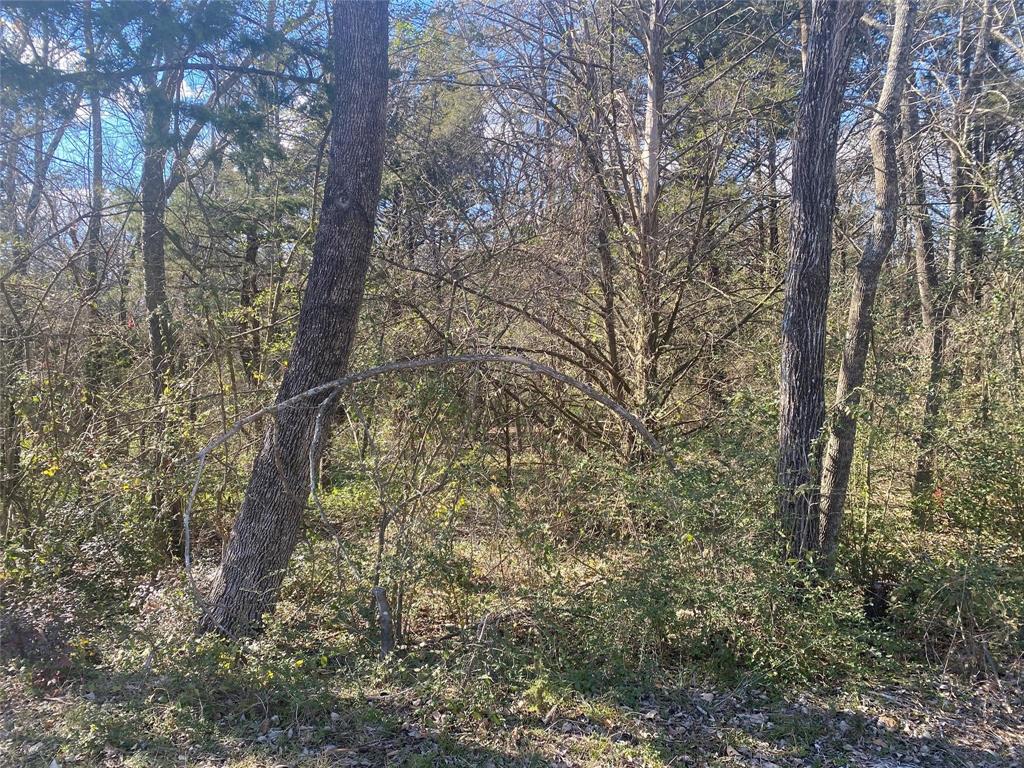 Anglers Camp - Land
