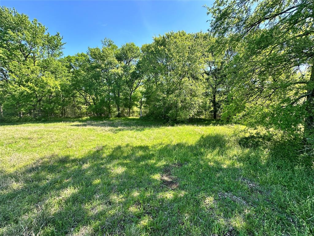 Sandy Cove Ranch - Land