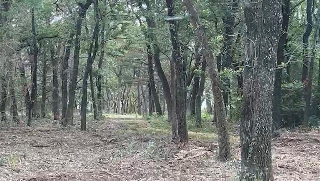 Shahan - Land