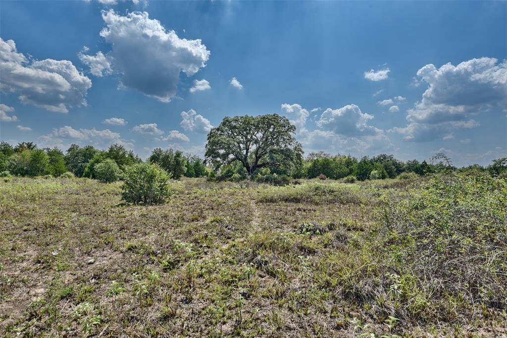 Minutes from Round Top with approx. 3320 feet of paved road frontage. Scattered trees throughout, pond and seasonal Cedar Creek. This property is in an estate and hasn't been occupied in years. There is an old house being sold as-is. If you are looking for a property to develop into smaller tracts this certainly lends itself to that with the long road frontage and the location.There is a gas well pad site on the far back corner on the other side of the ravine area. It is accessed  off Hills Road through the neighbors property in the back. See attached aerial.