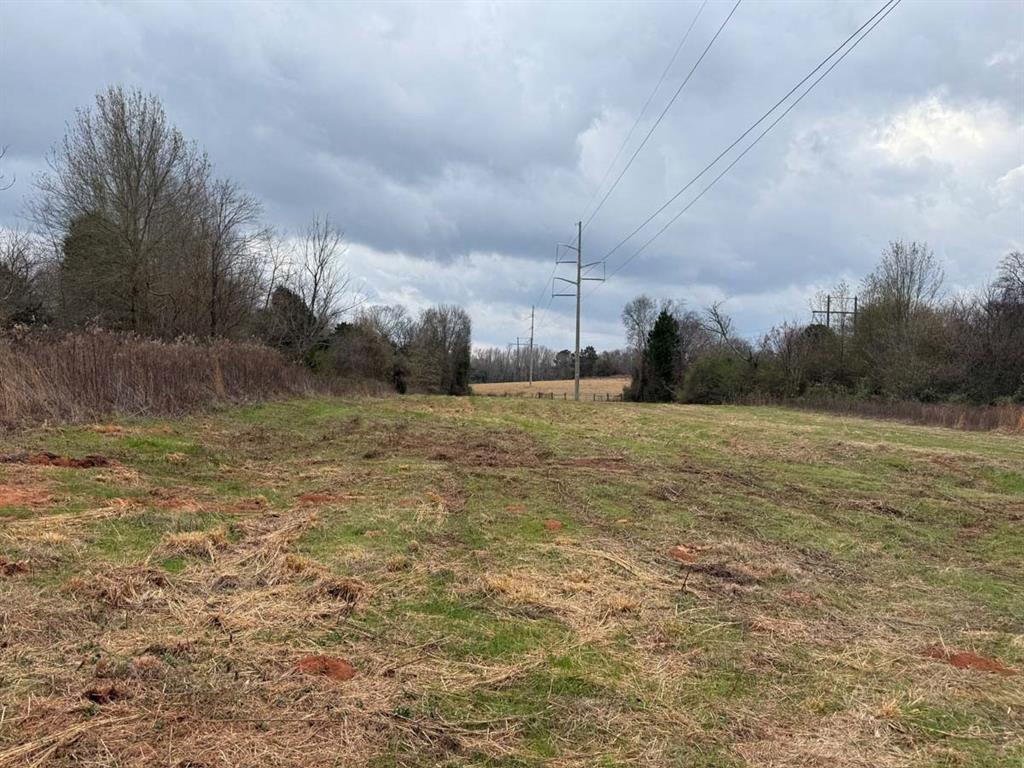 Property is approximately 6.4 acres of partially wooded, flat to gently rolling land. There is a shallow seasonal pond on the west part of the tract under the highline.  Several building spots to create your own homestead farm or small ranch property!
