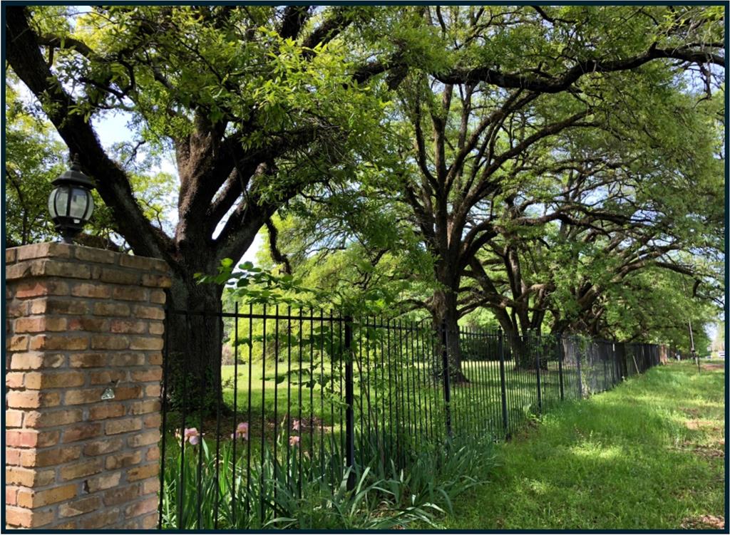 Angel Oaks - Land