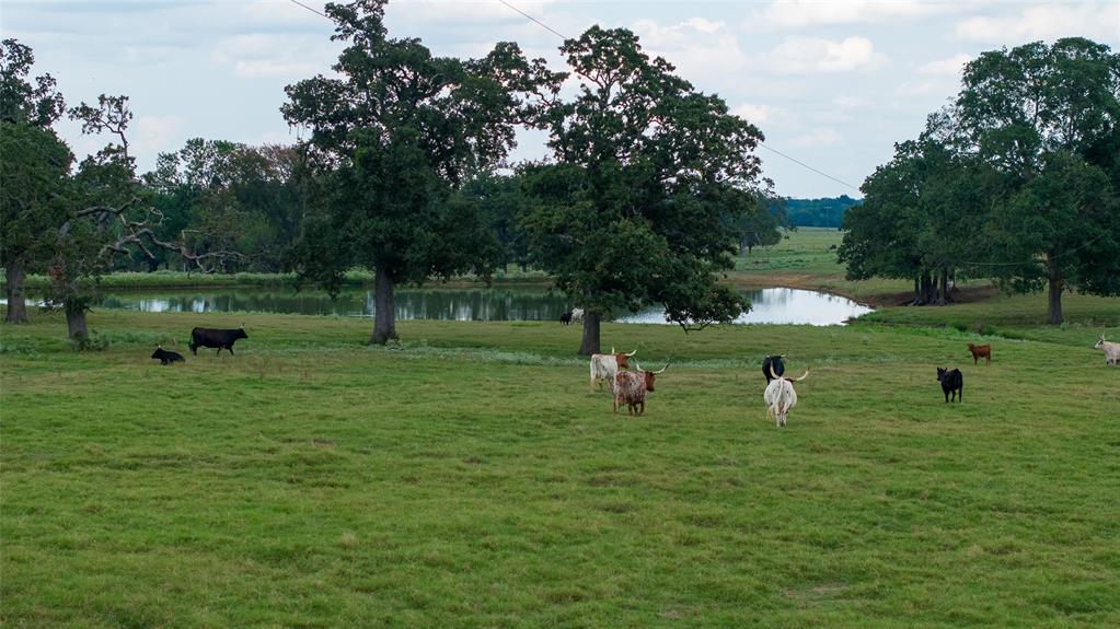 A31 - Land