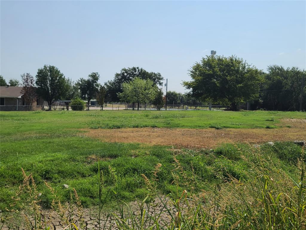 Joe Irwin 04 - Land