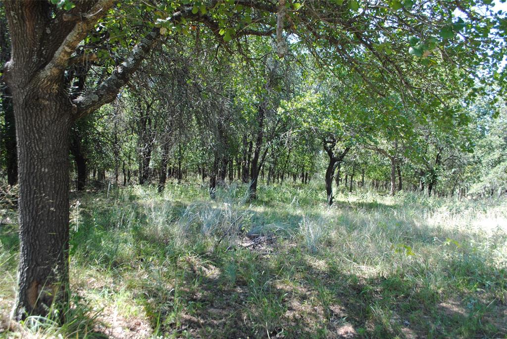 S88290 - Land