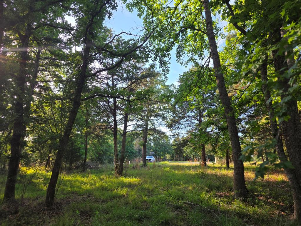 Safari Waters Ranch - Land