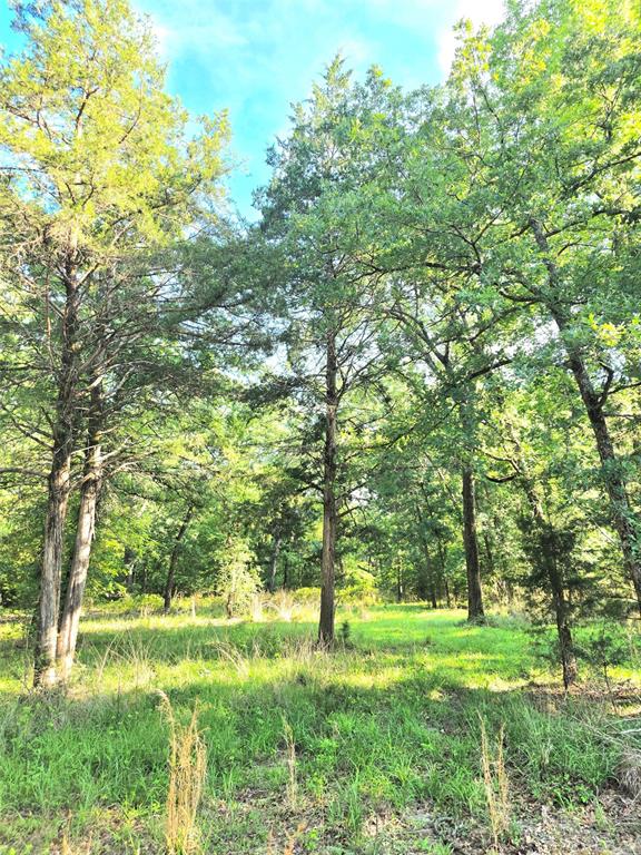 Safari Waters Ranch - Land