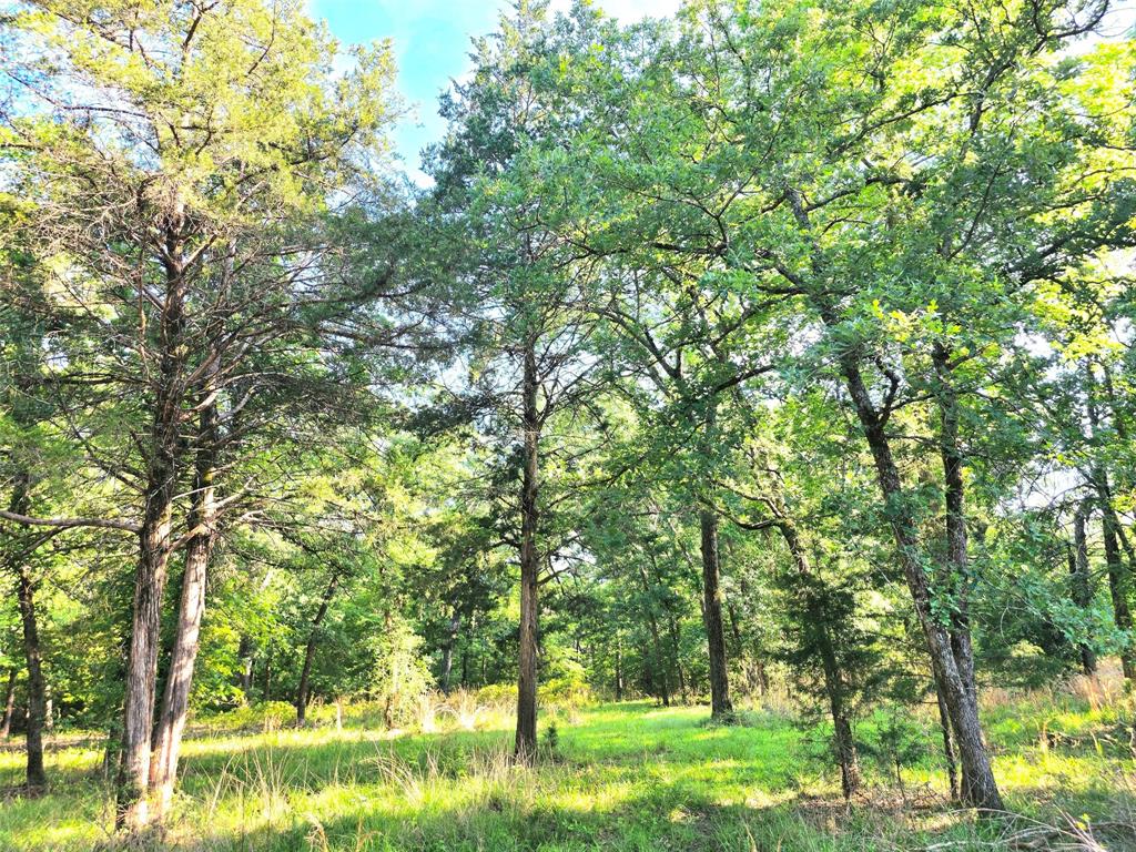 Safari Waters Ranch - Land