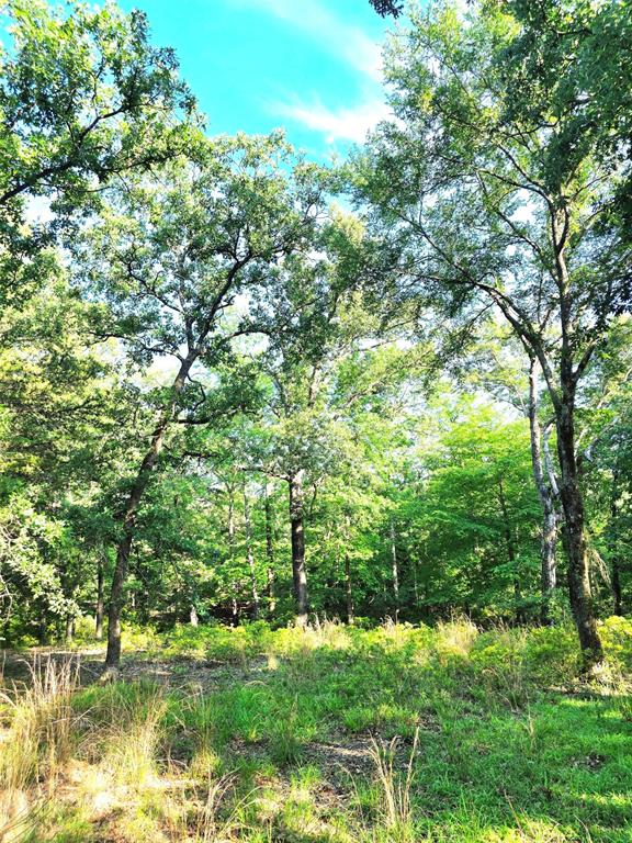 Safari Waters Ranch - Land