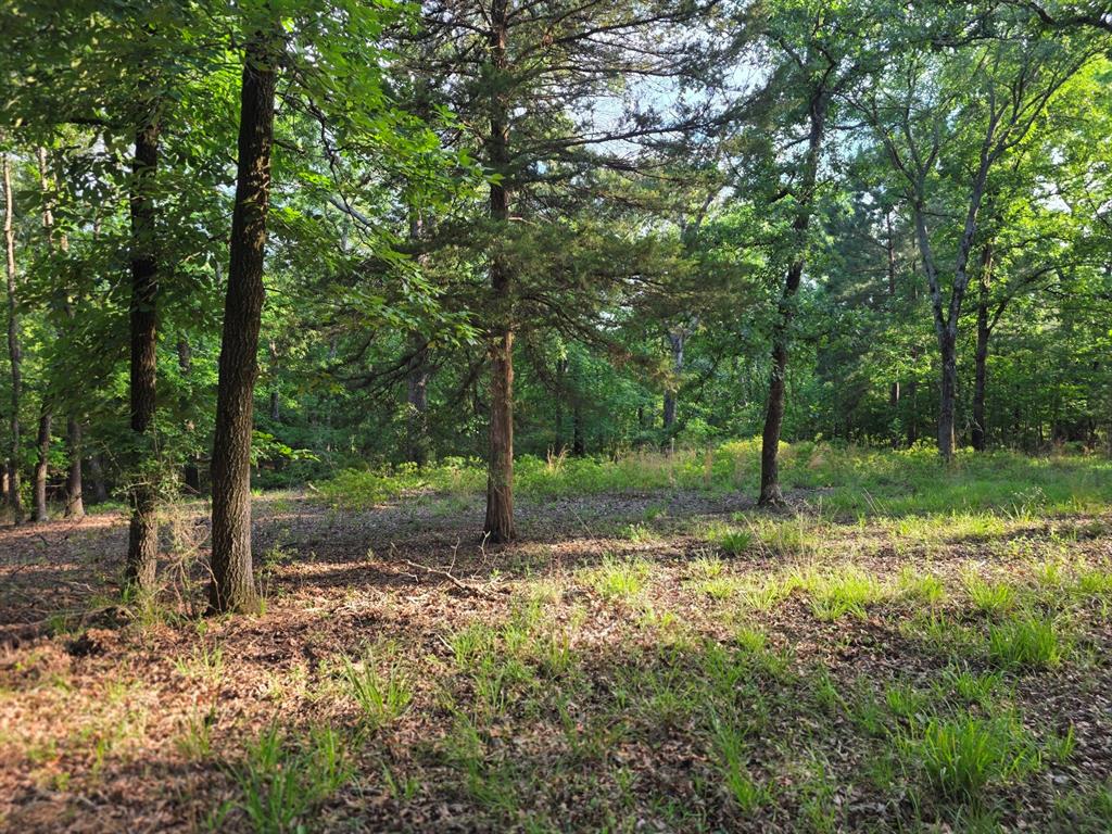 Safari Waters Ranch - Land