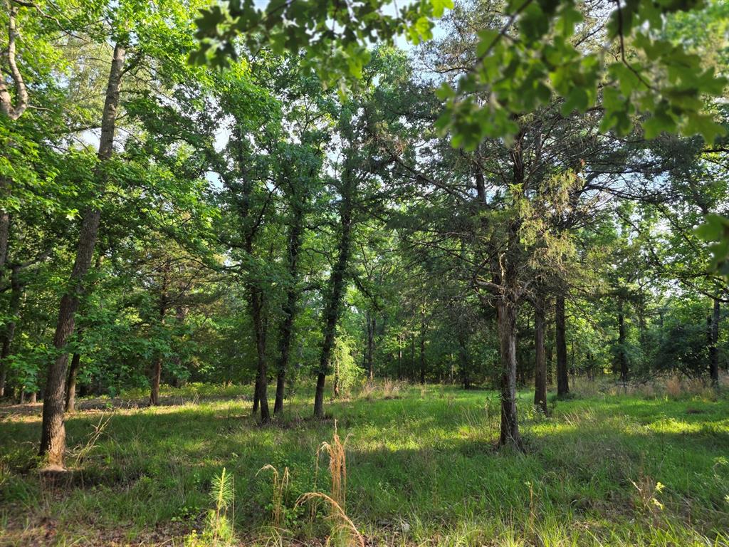 Safari Waters Ranch - Land