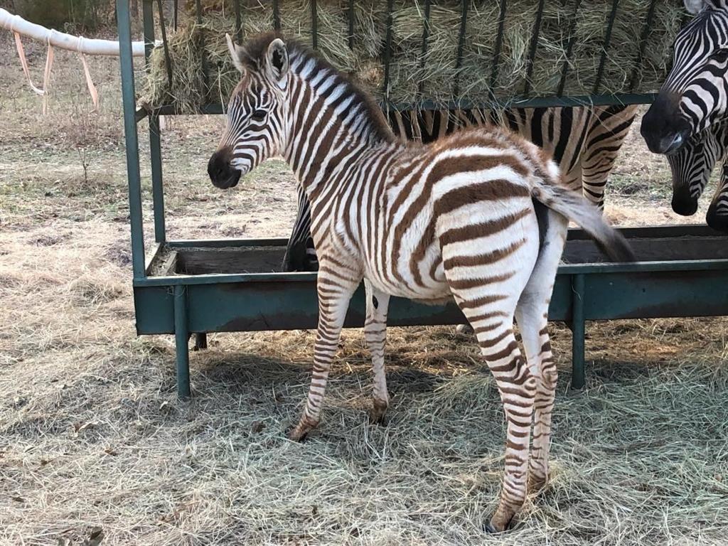 Safari Waters Ranch - Land