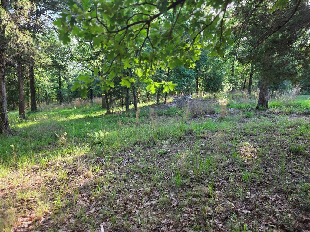 Safari Waters Ranch - Land