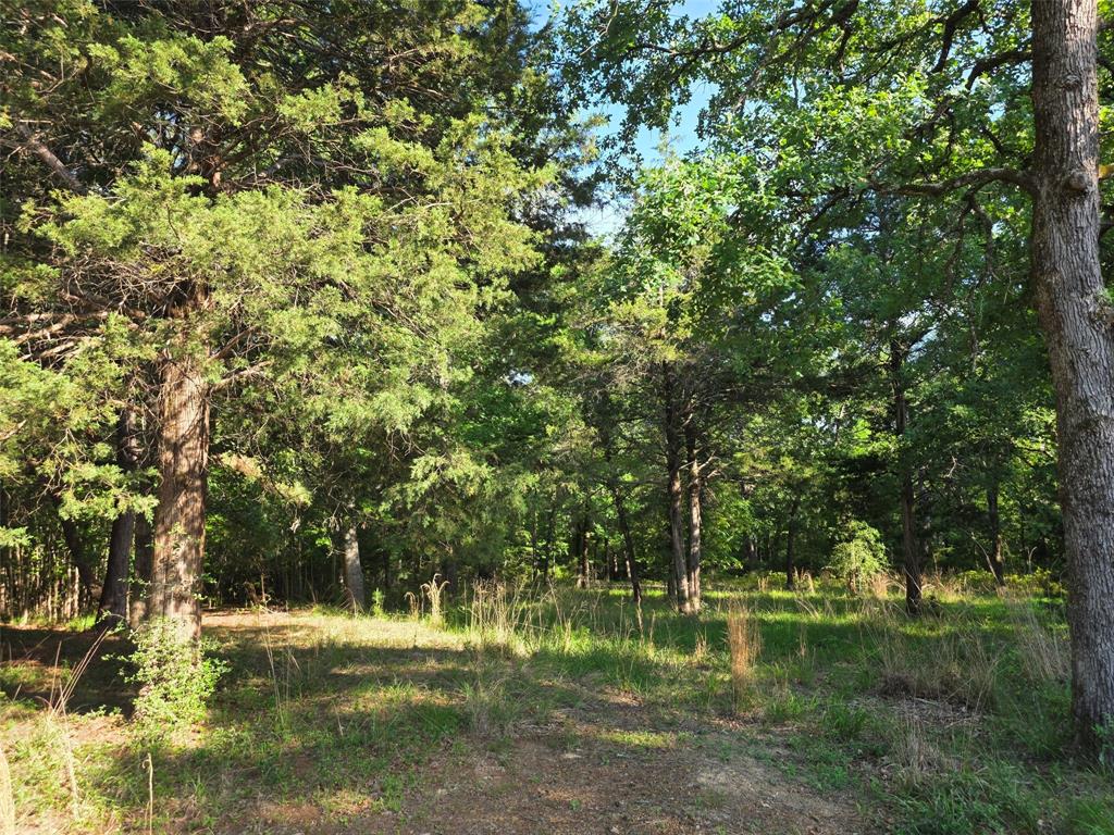 Safari Waters Ranch - Land