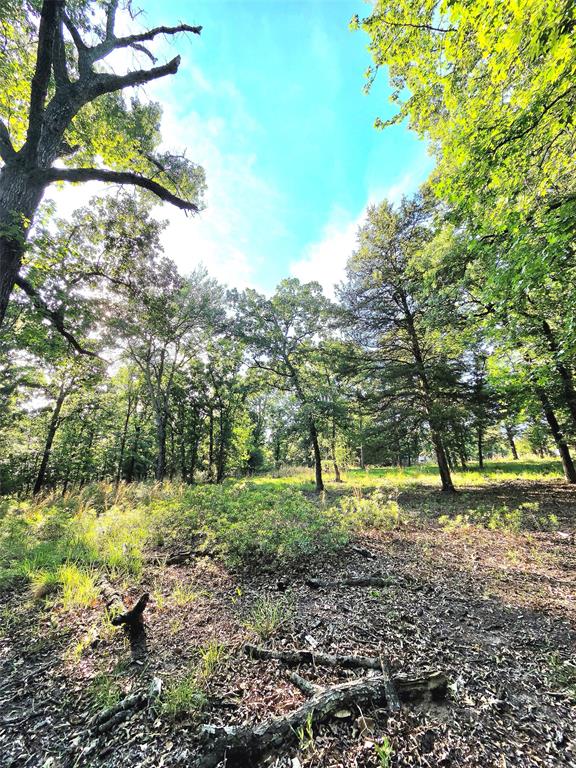 Safari Waters Ranch - Land