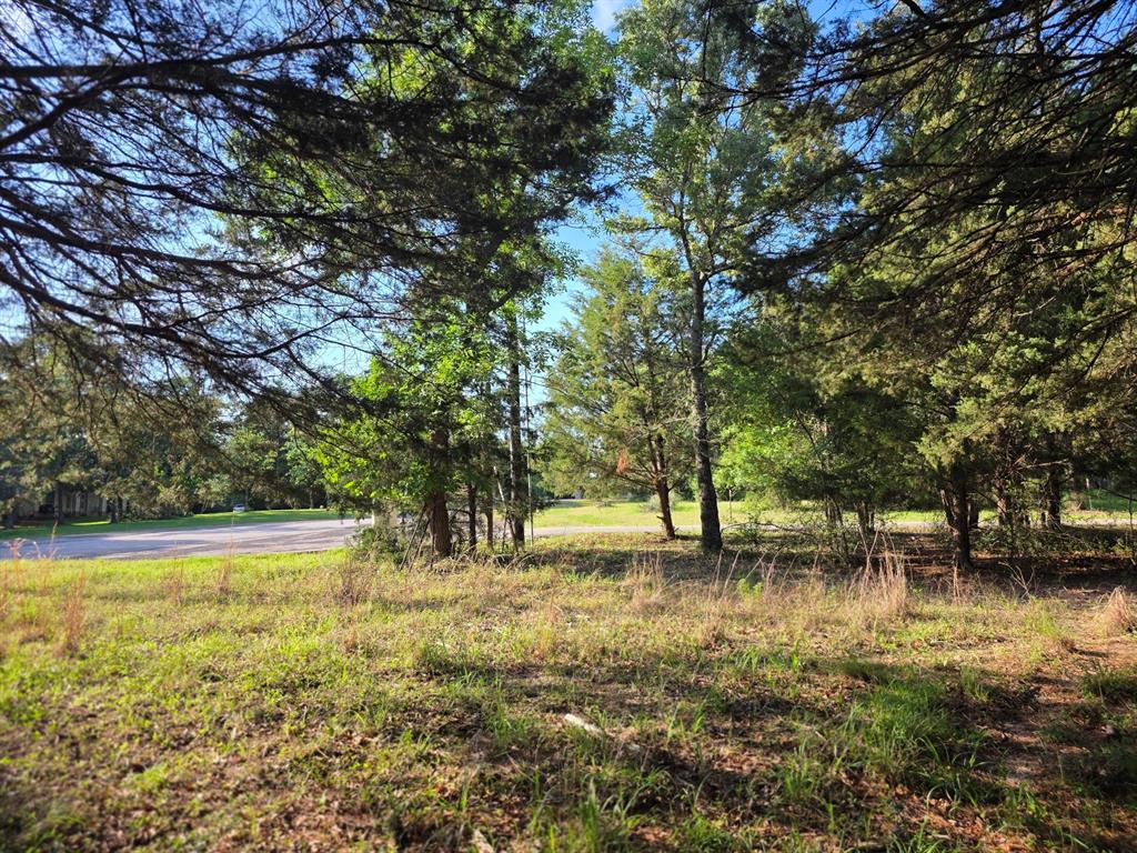 Safari Waters Ranch - Land