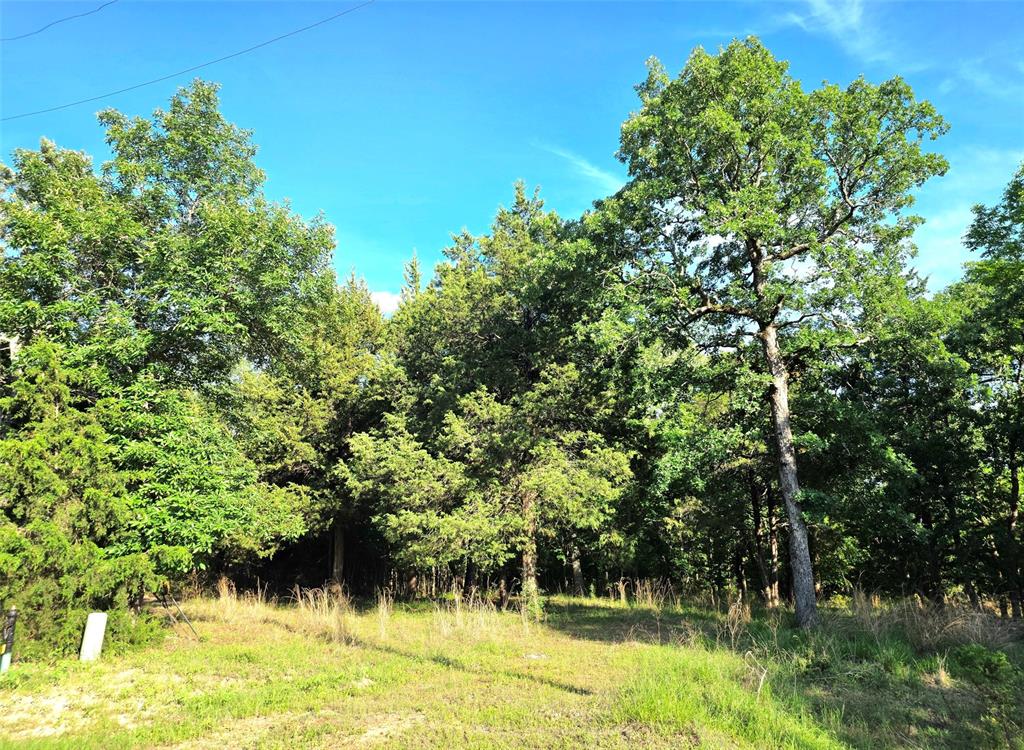 Safari Waters Ranch - Land