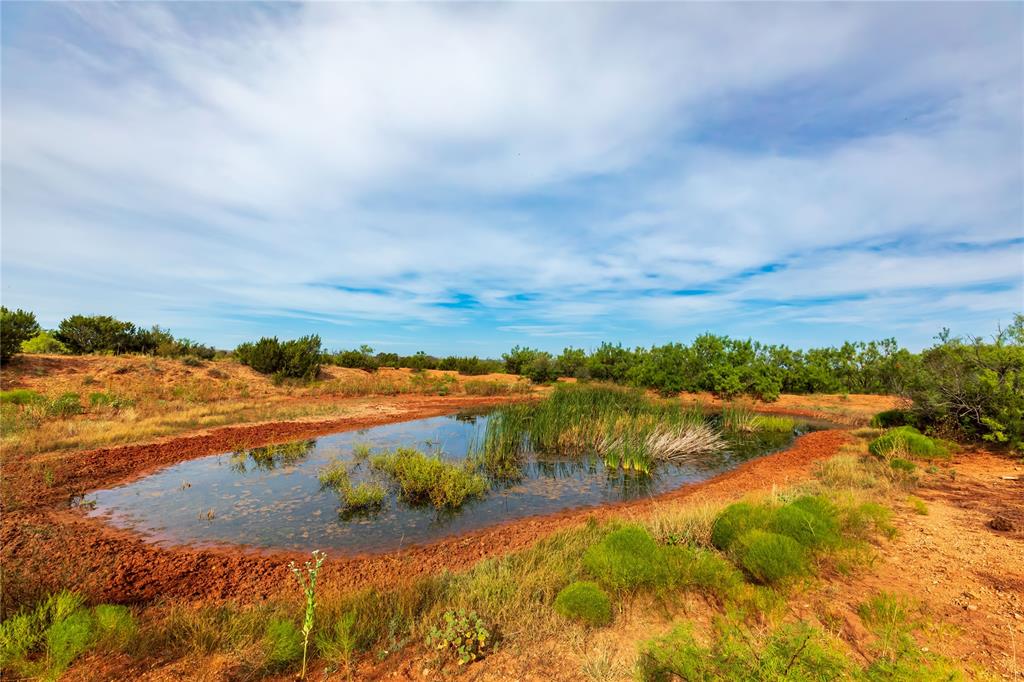 Whether you’re looking for a place to build your dream home, hunt, develop, or run cattle, this property has it all! This 77 more or less acre property is located In the Wylie West School District on State Hwy 277 at View, just minutes south of Abilene. With 1,600 feet of Hwy 277 frontage on the south end and 920 feet of frontage along Butterfield School Road on the north, the possibilities with this property are truly endless. Mesquite, cedar, and hack berry trees can be found throughout the property, with willows around the tanks and near the creek bottom. This property has excellent barbed wire fences all the way around. There are four stock tanks on this property. All of which are still holding water amidst this ongoing drought. There is also a wet weather creek that runs the entire length of the property.This area is known for hunting whitetail deer, feral hogs, turkey, and dove. With the stock tanks and the creek bottom, this place should be covered up with wildlife.