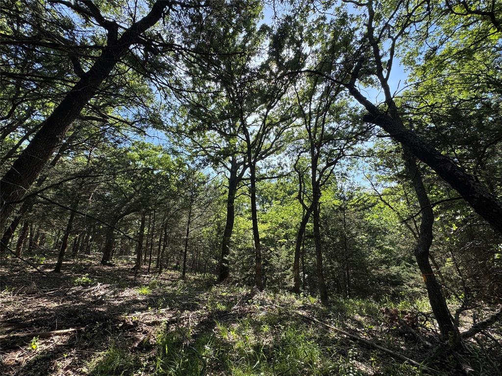 Old Decatur Estates - Land