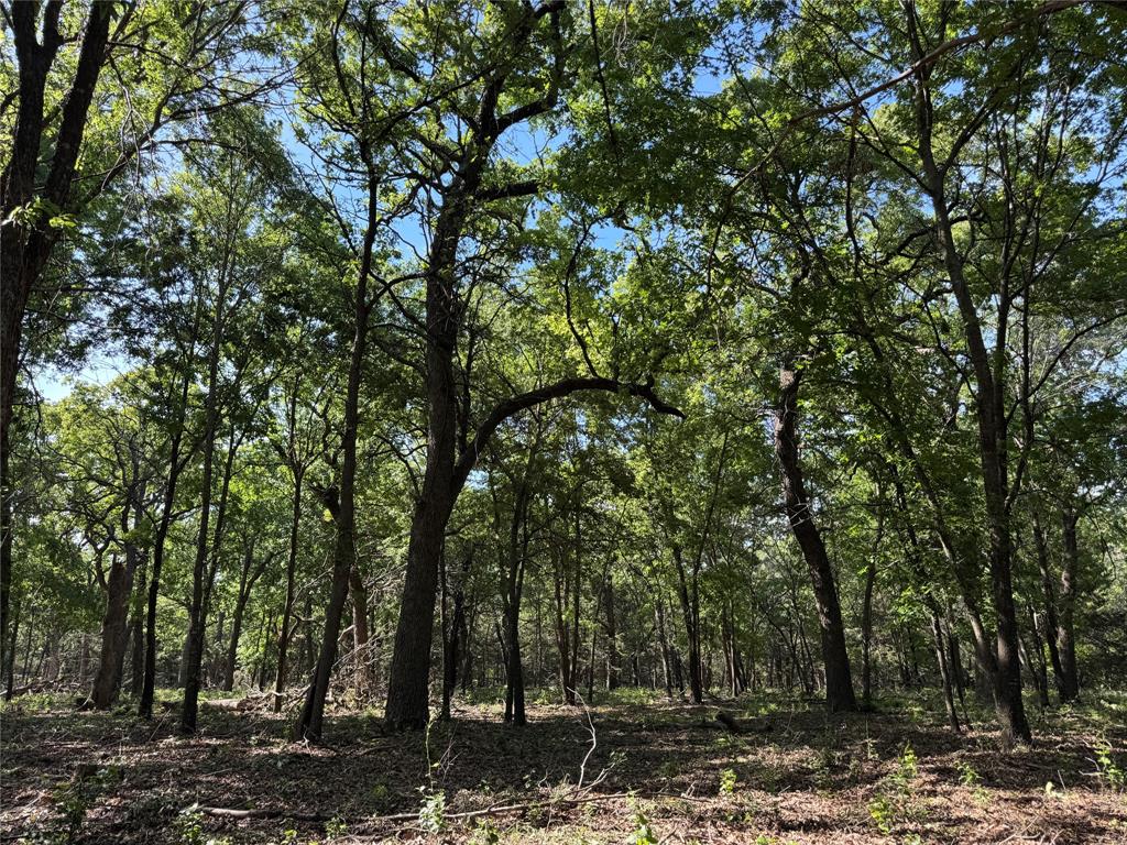 Old Decatur Estates - Land