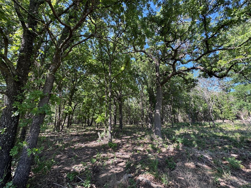 Old Decatur Estates - Land